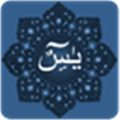 Surah Yaseen Alternatives