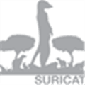 Suricata Alternatives
