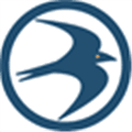 Swift im Alternatives