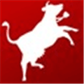 Swisscows Translator Alternatives
