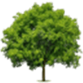 Tabs Tree Alternatives