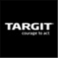 Targit Alternatives