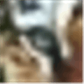Task Tiger Alternatives