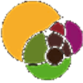Tematres Alternatives