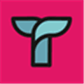 Tettra Alternatives