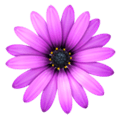Textmate Alternatives