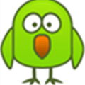 The Birdy Alternatives