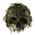 The Forest Alternatives