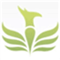The Full Wiki Alternatives