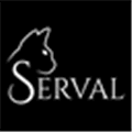 The Serval Project Alternatives