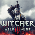 The Witcher 2 Alternatives
