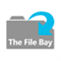 Thefilebay Alternatives
