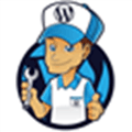 Thewp Pro Alternatives