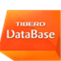 Tibero Alternatives