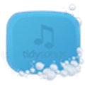 Tidysongs Alternatives