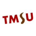Tmsu Alternatives