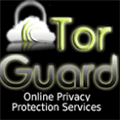 Torguard Alternatives