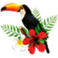 Toucan Tasks Alternatives