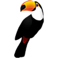 Toucan Alternatives
