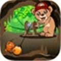 Treehoven Candy For Bears Alternatives