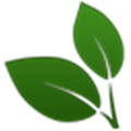 Treeio Alternatives