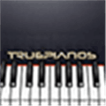 Truepianos Alternatives