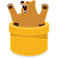 Tunnelbear Alternatives