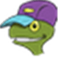 Turtle Sport Alternatives