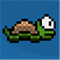 Turtle Swim Alternatives