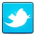Twitter Connect Alternatives