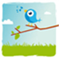 Twitter Name Generator Alternatives