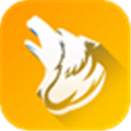 Use Browser Alternatives