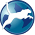 Usejump Alternatives