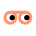 Userlook Recorder Alternatives