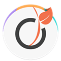 Viadeo Alternatives