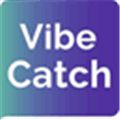 Vibecatch Alternatives