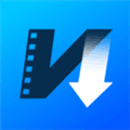 Video Downloader Pro  Download Videos From Webs Alternatives