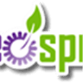 Videosprout Alternatives