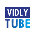 Vidlytube Alternatives