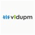 Vidupm Alternatives