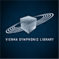 Vienna Ensemble Pro Alternatives