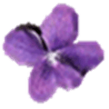Violet Uml Editor Alternatives