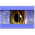 Vision Defense Alternatives