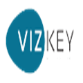 Vizkey Alternatives