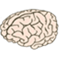 Voc2brain Alternatives