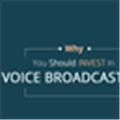 Voice Broadcasting Alternatives