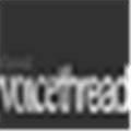 Voicethread Alternatives