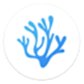 Vscodium Alternatives