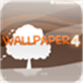 Wallpaper Alternatives