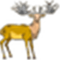 Wapiti Alternatives
